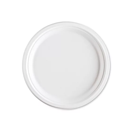 10" Baggasse Plate 4X125